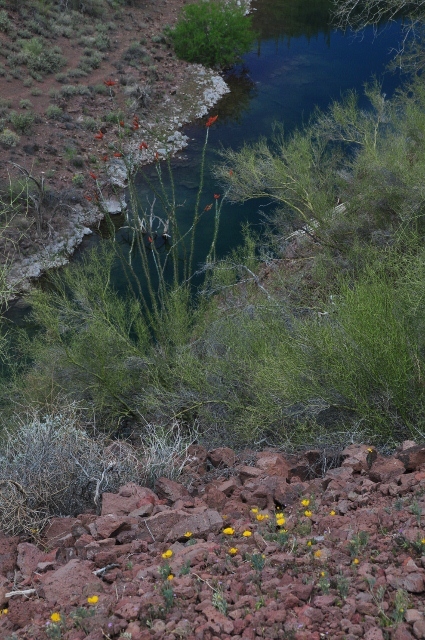 Pipeliine Canyon Trail 